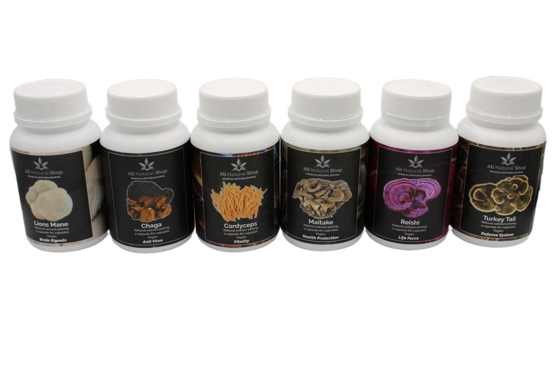 Chaga extract capsules 60 stuks