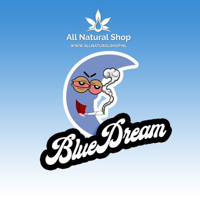 Natürliche Terpene Blue Dream Genießer-Konzentrate