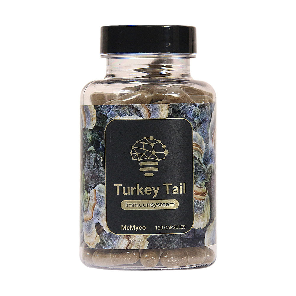 Turkey Tail extract capsules – 120 pieces