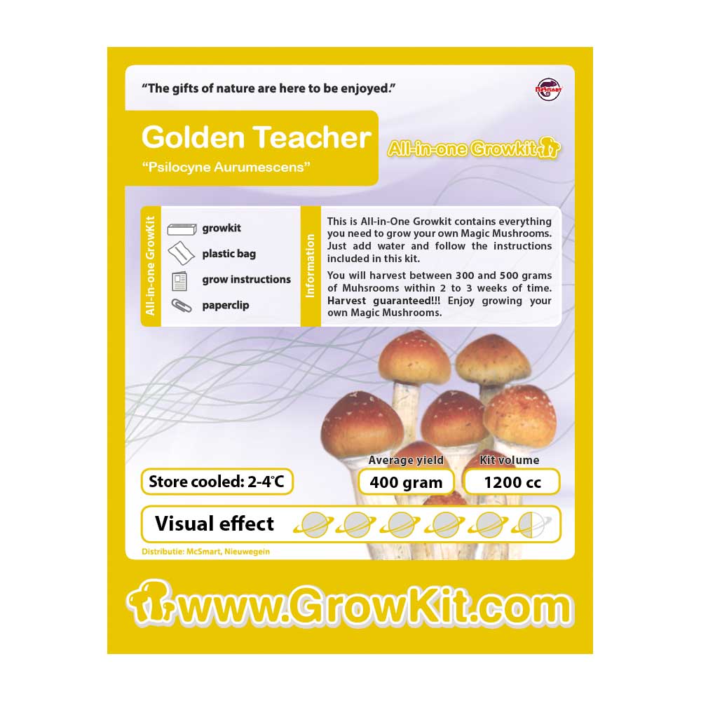 Golden Teacher Grow Kit - 1200 cc