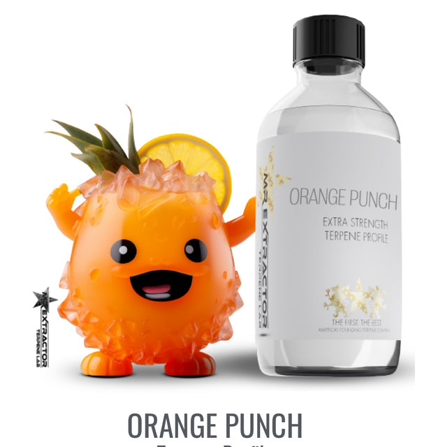 Natural Terpenes Orange Puch Connoisseur Concentrates