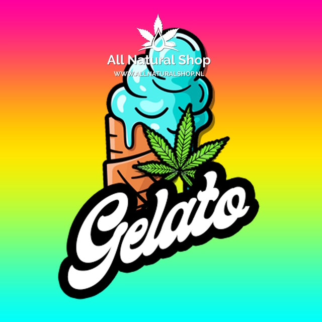 Natürliche Terpene Gelato-Genießer-Konzentrate 