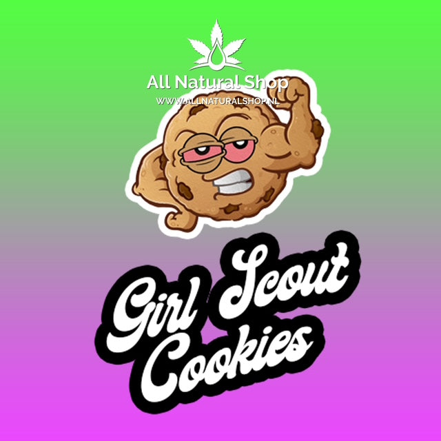 Natürliche Terpene Girl Scout Cookies Genießer-Konzentrate 
