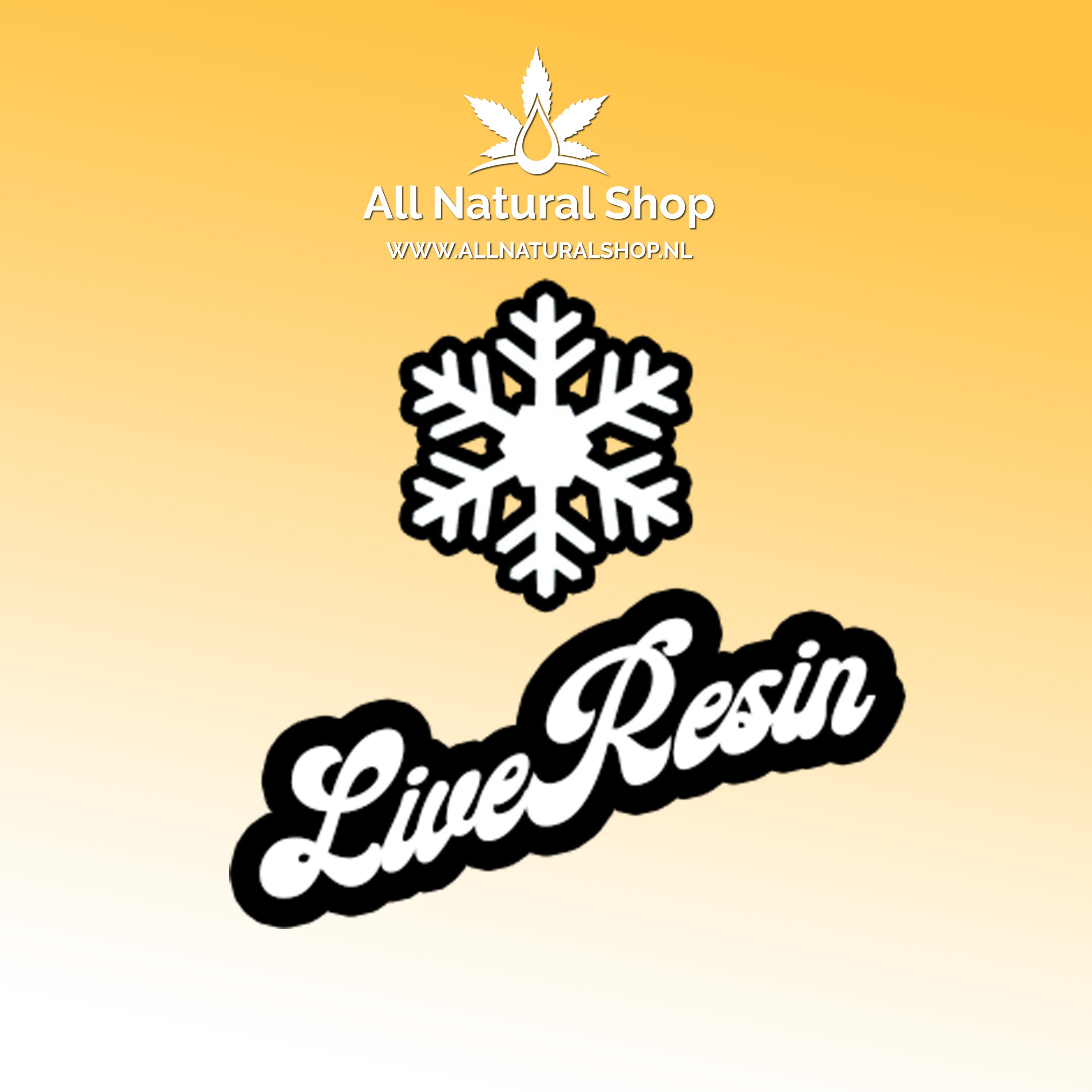 Natural Terpenes Live Resin Connoisseur Concentrates