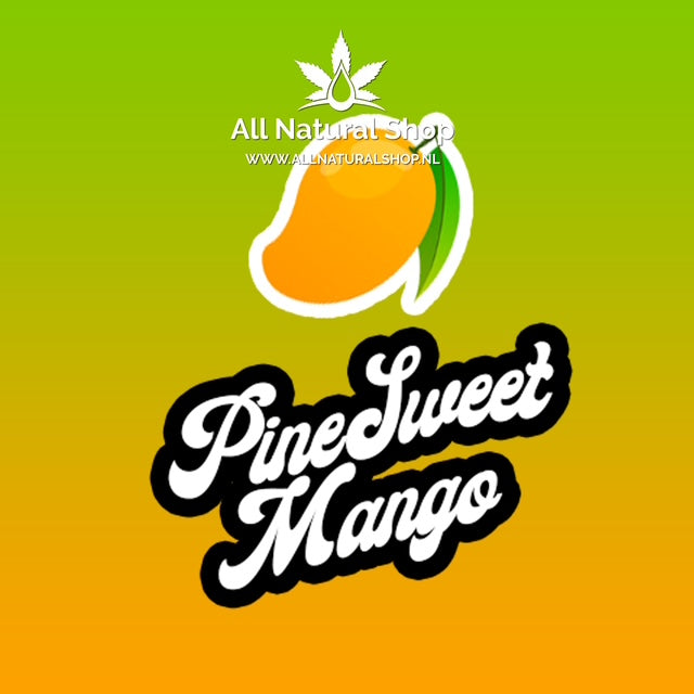 Natürliche Terpene Pine Sweet Mango -Genießer-Konzentrate 